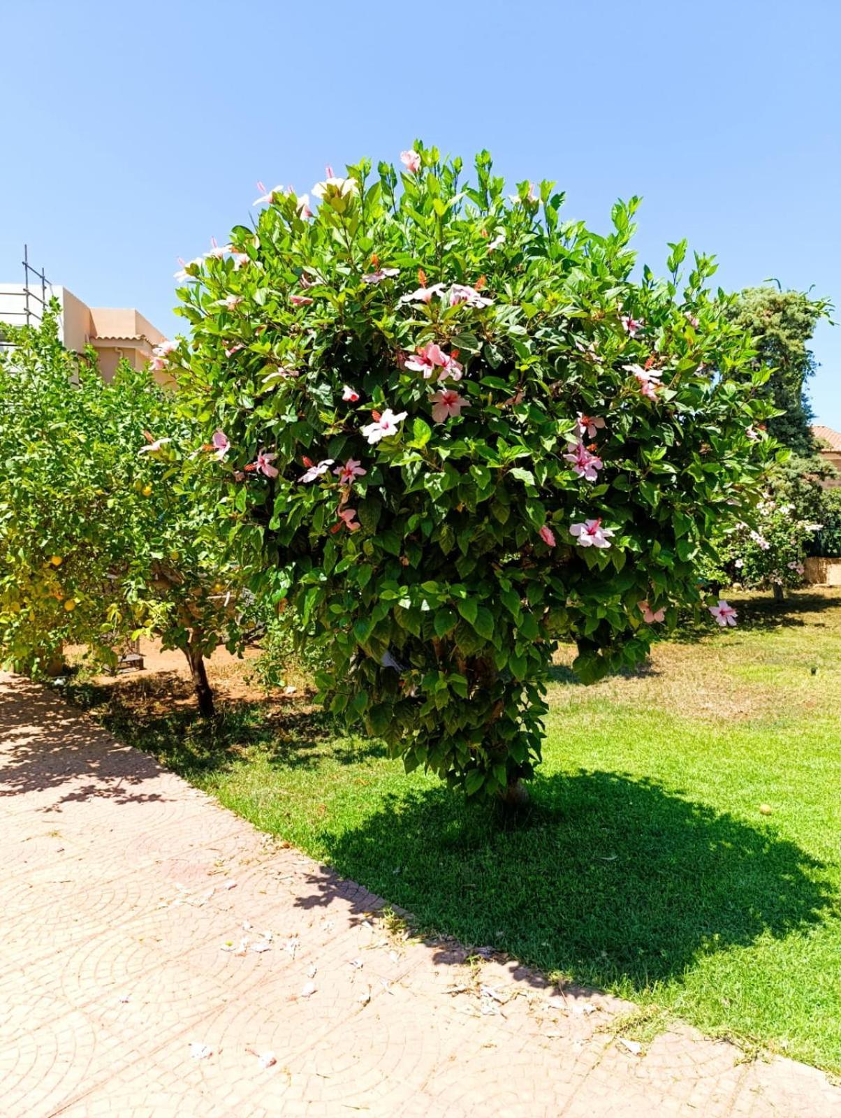 Villa Garden House Mondello Palermo Exterior foto
